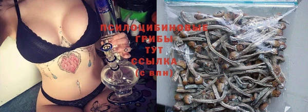 каннабис Баксан