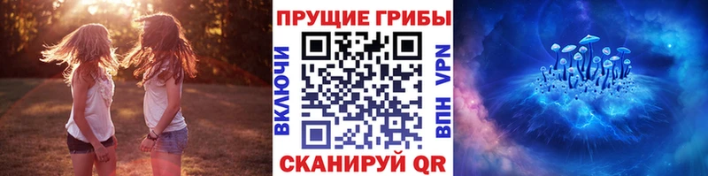 omg вход  Спасск-Рязанский  Псилоцибиновые грибы ЛСД  купить наркоту 